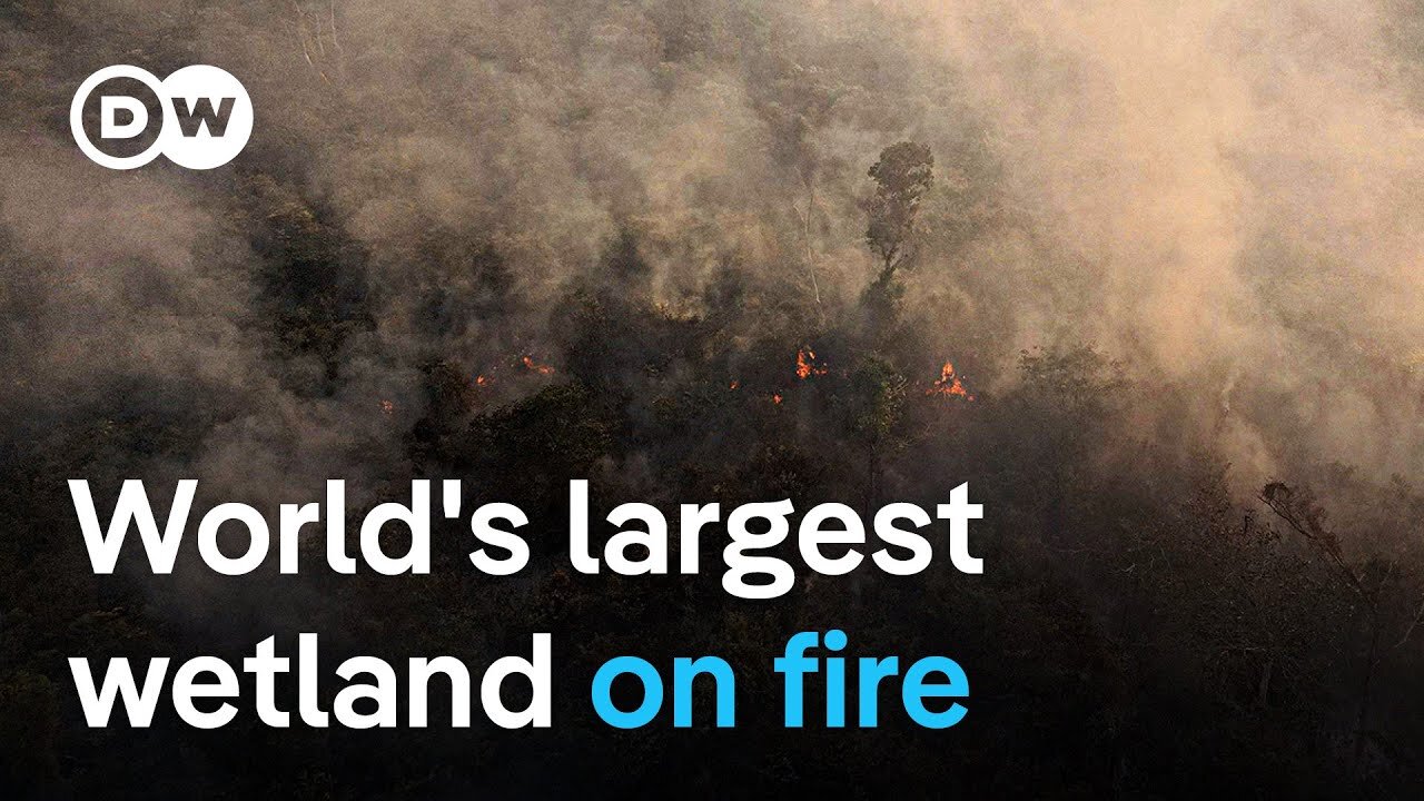 Wildfires burn 700,000 hectares of Pantanal wetland | DW News