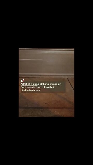 Gang-stalking in Action : The TikTok Edition on YouTube