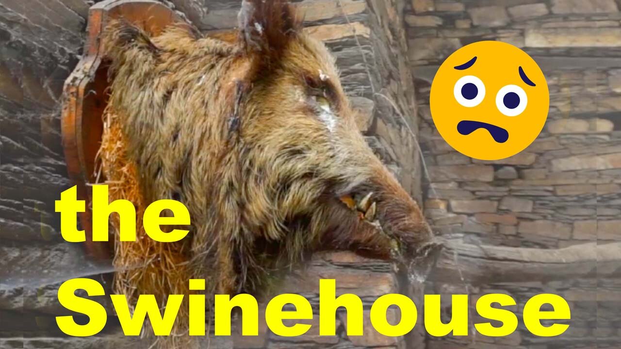 04 The Swinehouse - a brief history of the old village