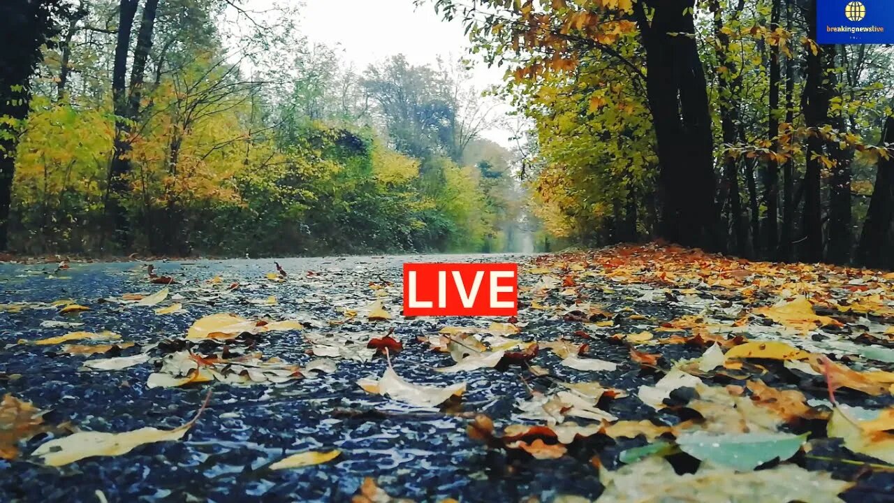Rain Sounds for Sleeping Soothing Rainy Sounds Ocean Waves for Deep Sleep Relax Study Live Stream