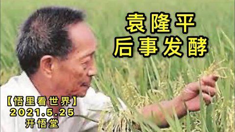 KWT1782 YLP后事发酵20210525-13【悟里看世界】