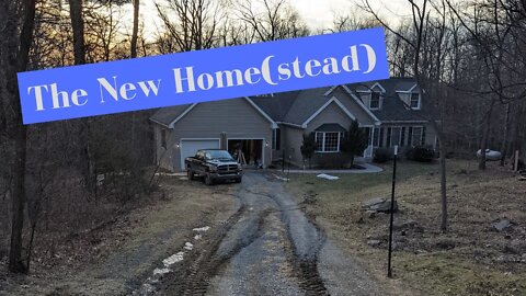 The New Home(stead) - Josh's Take