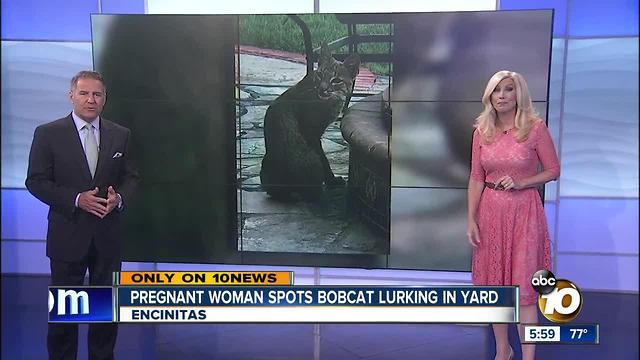 10News at 6pm Top Stories