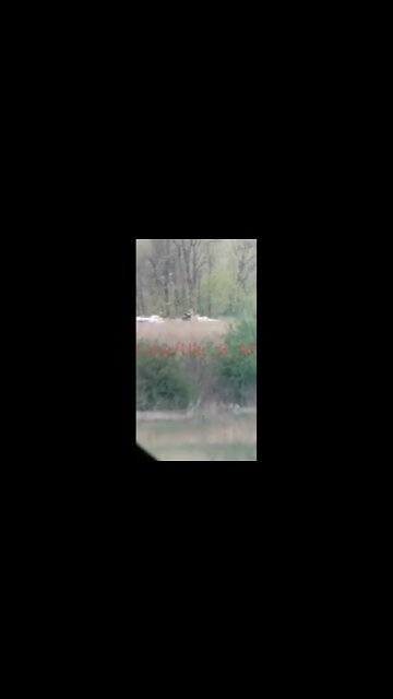 RF sniper waiting for a shot at a Ukrainian position