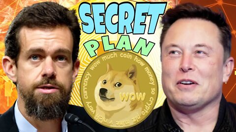 Elon Musk Secret Dogecoin Plan With Jack Dorsey ⚠️