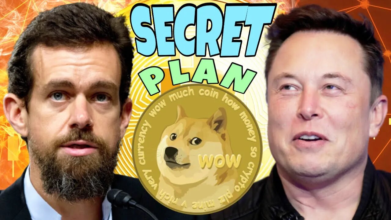 Elon Musk Secret Dogecoin Plan With Jack Dorsey ⚠️