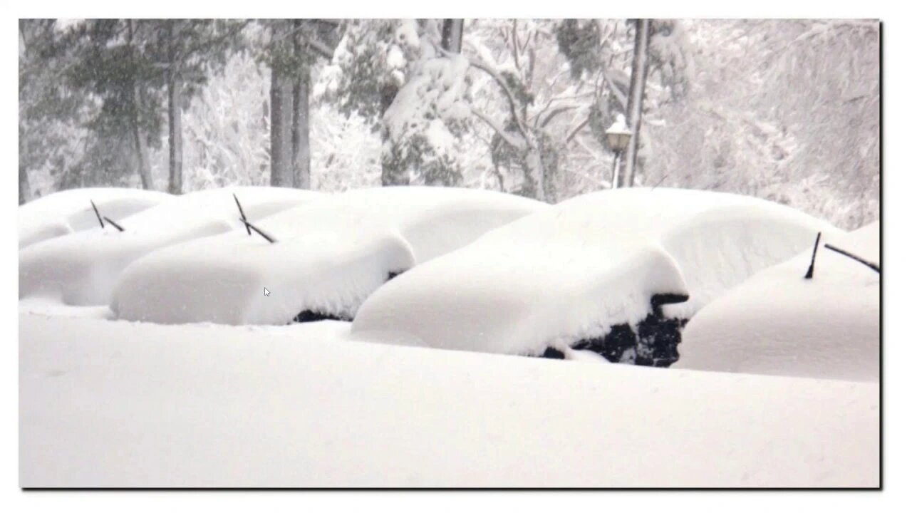 The Magical Powers Of CO2