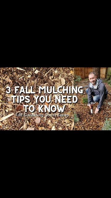 🍂 3 Fall Mulching Tips You Need to Know (for Beginners) #shorts 🍂