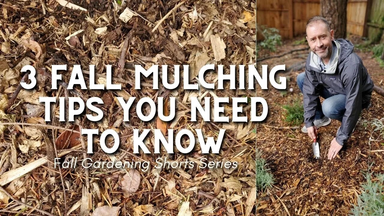 🍂 3 Fall Mulching Tips You Need to Know (for Beginners) #shorts 🍂