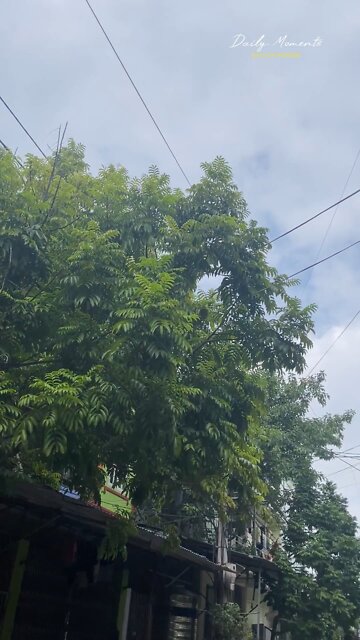 poor dog, underground is a small dog's place, I will spend a small amount of money to buy food