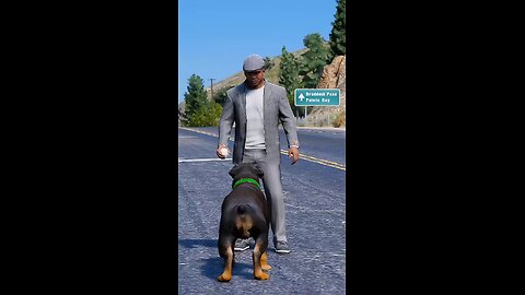 GTA V. Dog teach us love in its parte - 1