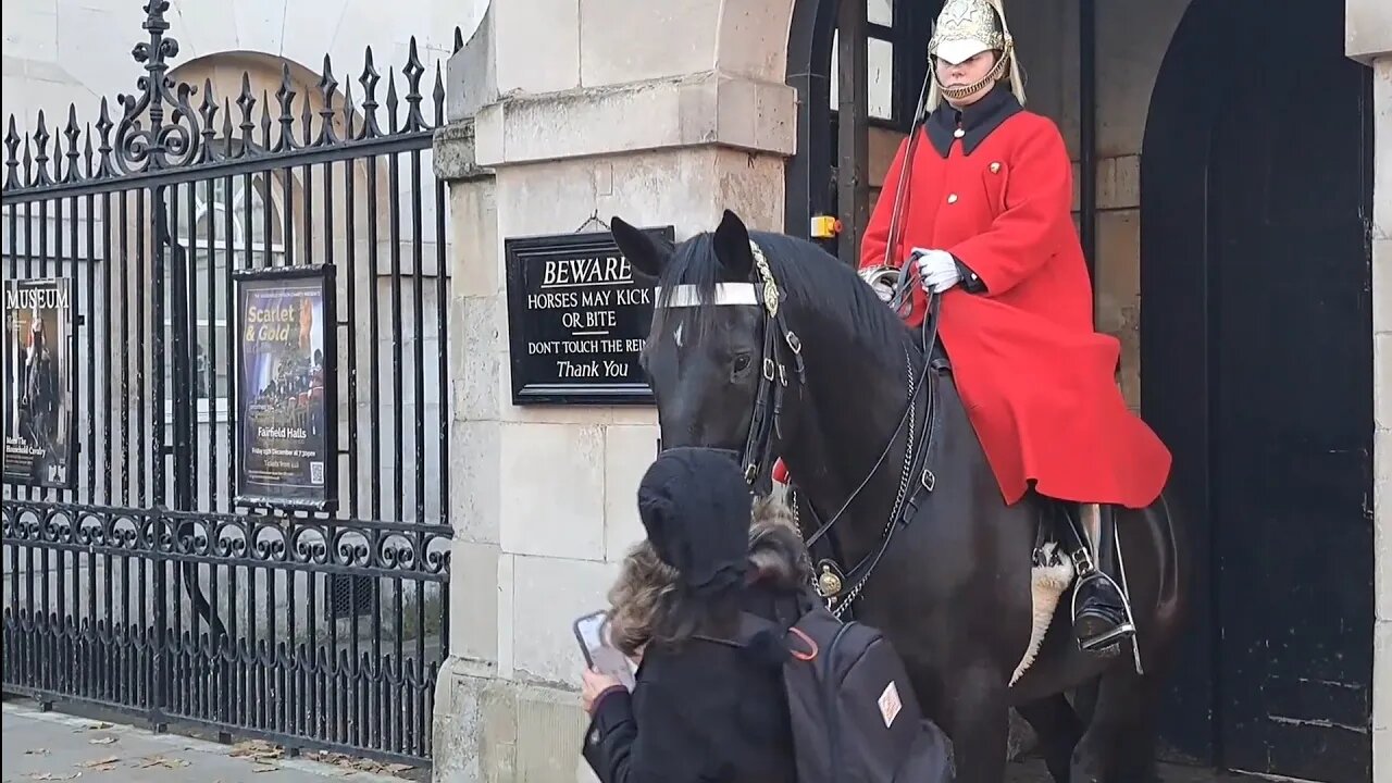 Tourist please get off your phone another one walks in the horse 😆 🤣 😂 #horseguardsparade