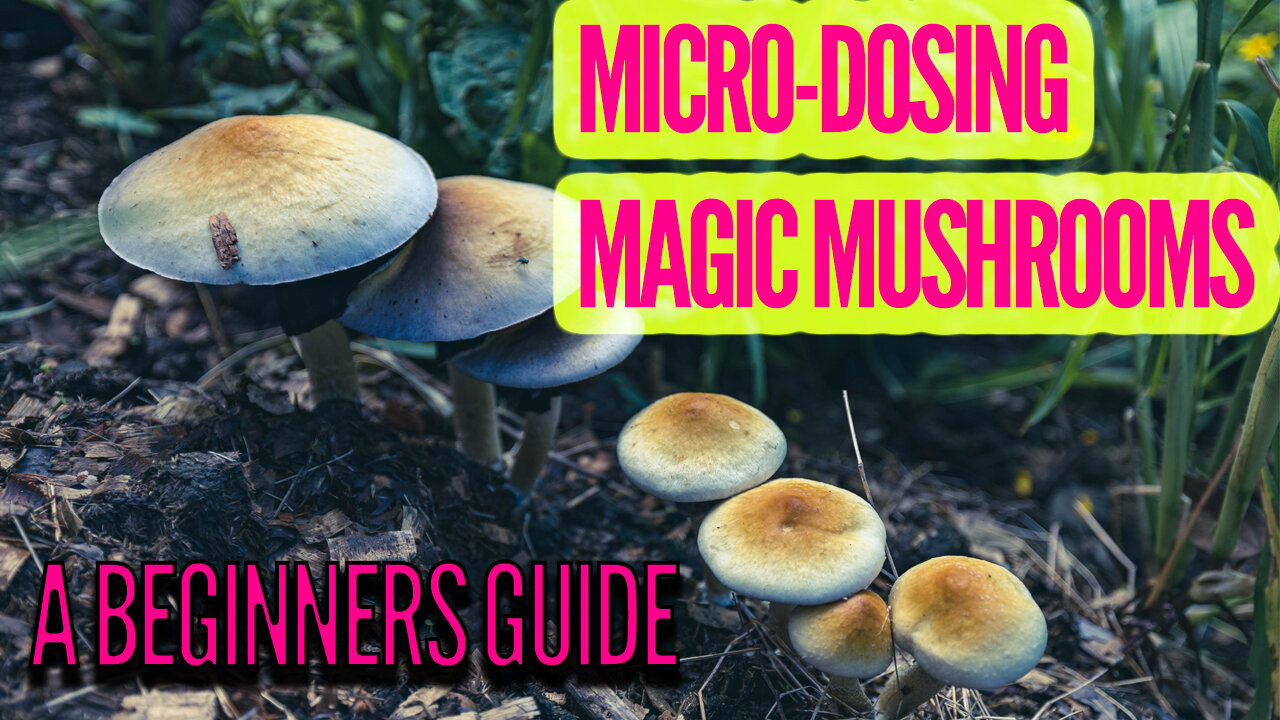 MICRODOSING ACTIVE MUSHROOMS (MAGIC MUSHROOMS) BASICS AND OVERVIEW