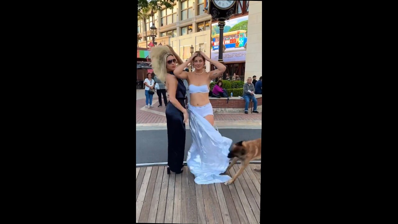 dog rips a chicks dress off in public.