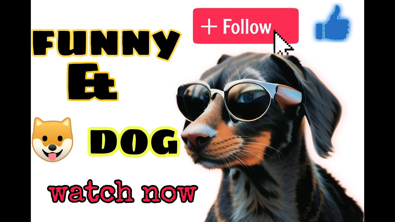 Funny dy