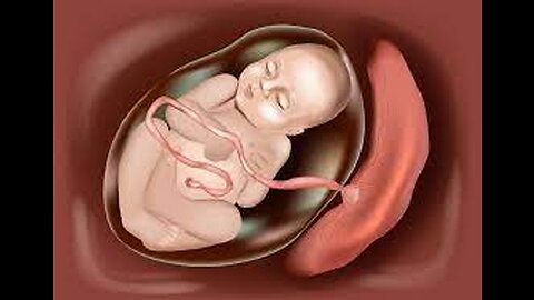 12. Umbilical cord