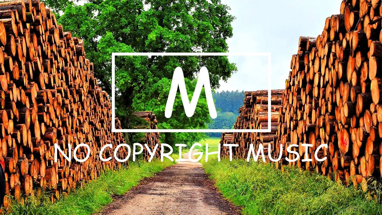 Markvard - Everybody（Mm No Copyright Music）