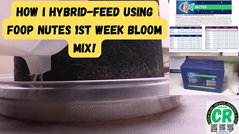 How I do a hybrid feeding of my cannabis plants with FOOP 1st week bloom nutrient mix shorts video!