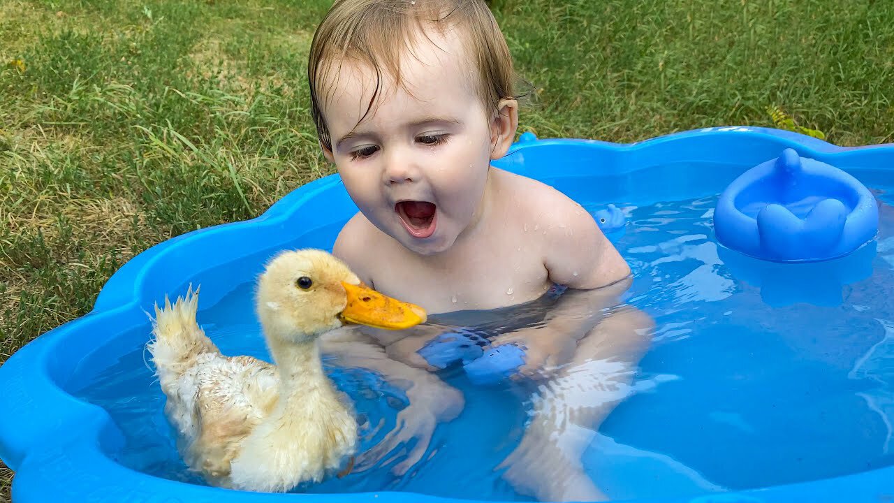 Funny Baby Reaction to Duckling in the Pool