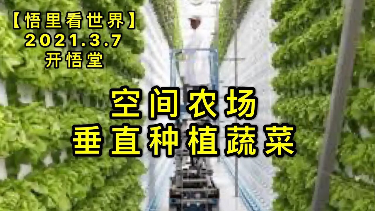 KWT1271空间农场: 垂直蔬菜20210307-13【悟里看世界】