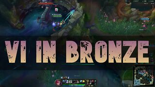 Vi Jungle in Bronze