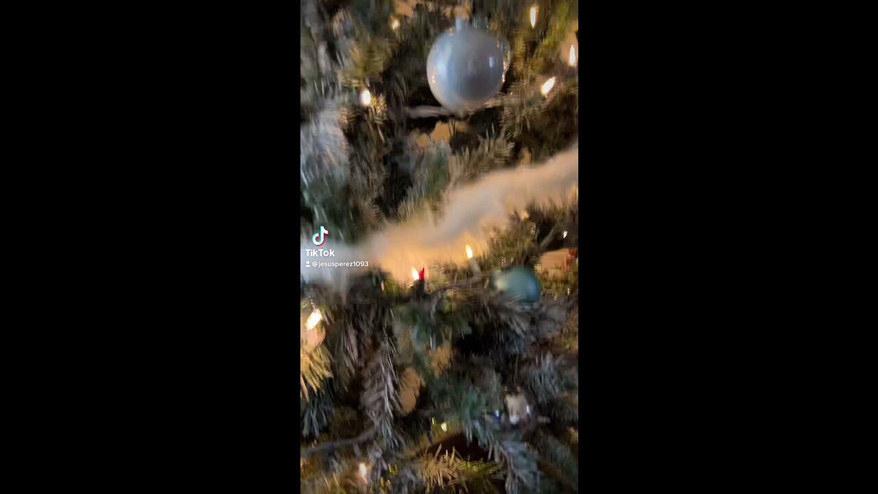 What’s under the Christmas tree?