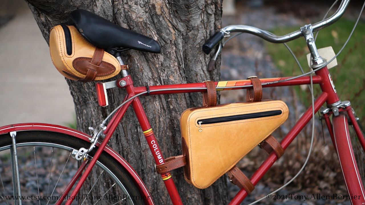 Leather Bike Bags (1 of 2 Seat Bag)