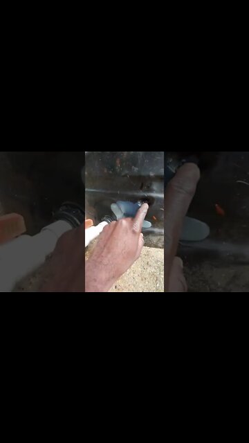 PART TWO Repairing A Tuff Tank With A Heat Blower And Glue Stick | Quinn Trim #Shorts