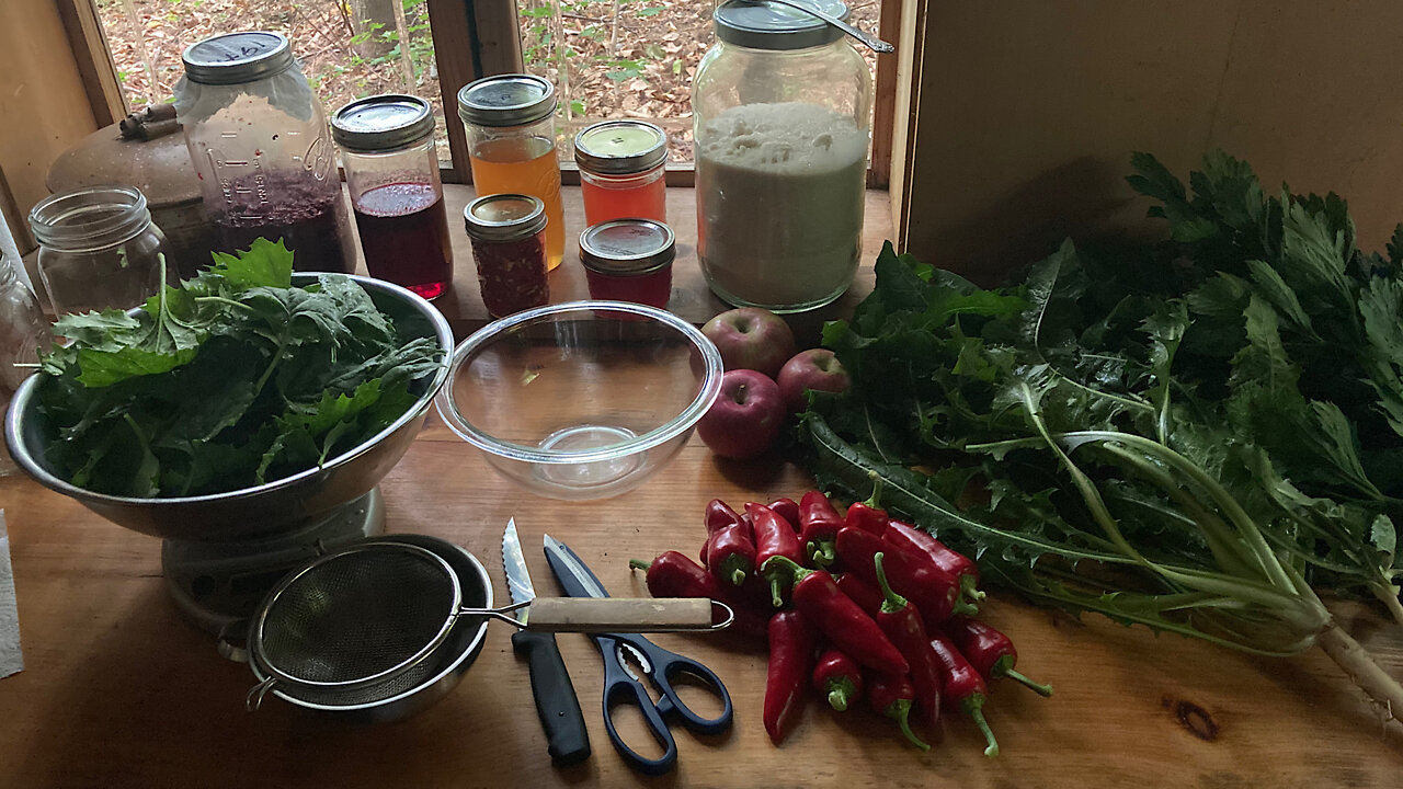 Making Fermented Plant Juice- FPJ