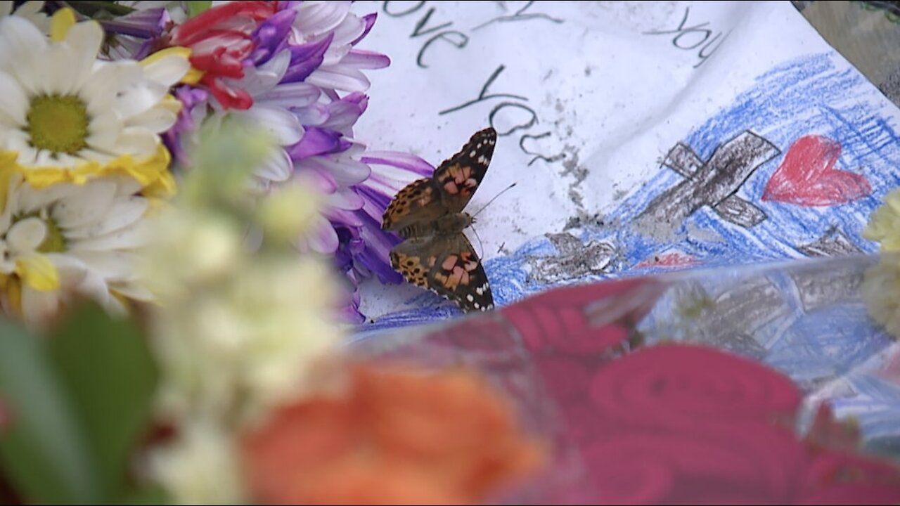 A butterfly release to honor Gabby Petito