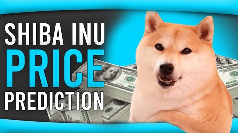 SHIBA INU COIN UPDATE - WILL SHIBA INU LOSE THE ROBINHOOD GAINS