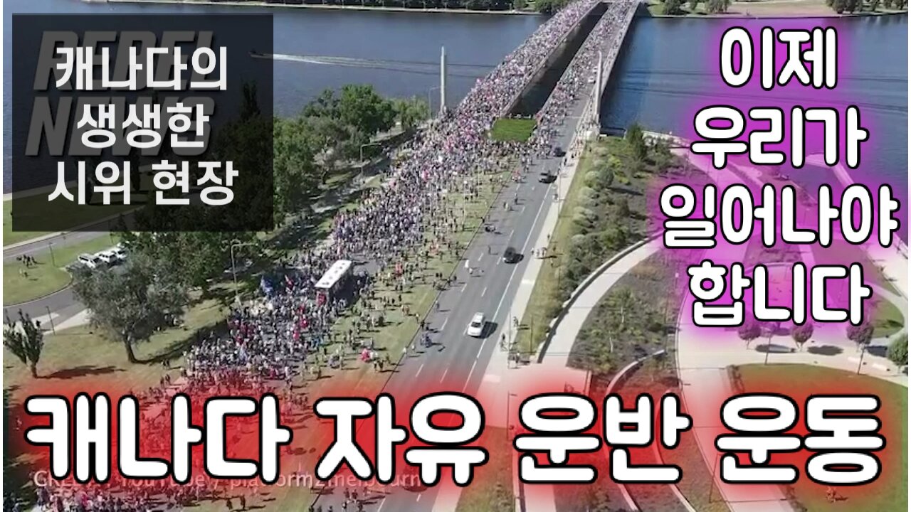 캐나다 시위 현장: 자유를 지키기 위한 뜨거운 열정 폭발