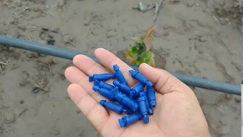 Irrigação das minhas plantas, gotejador ajustável Parte 1