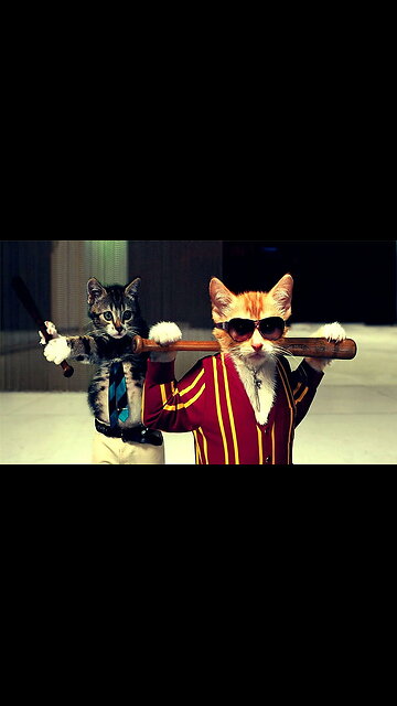 Try Not To Laugh Dogs And Cats 😁 - Funniest Animals Video 2022 🐧 #cute #animals #trending