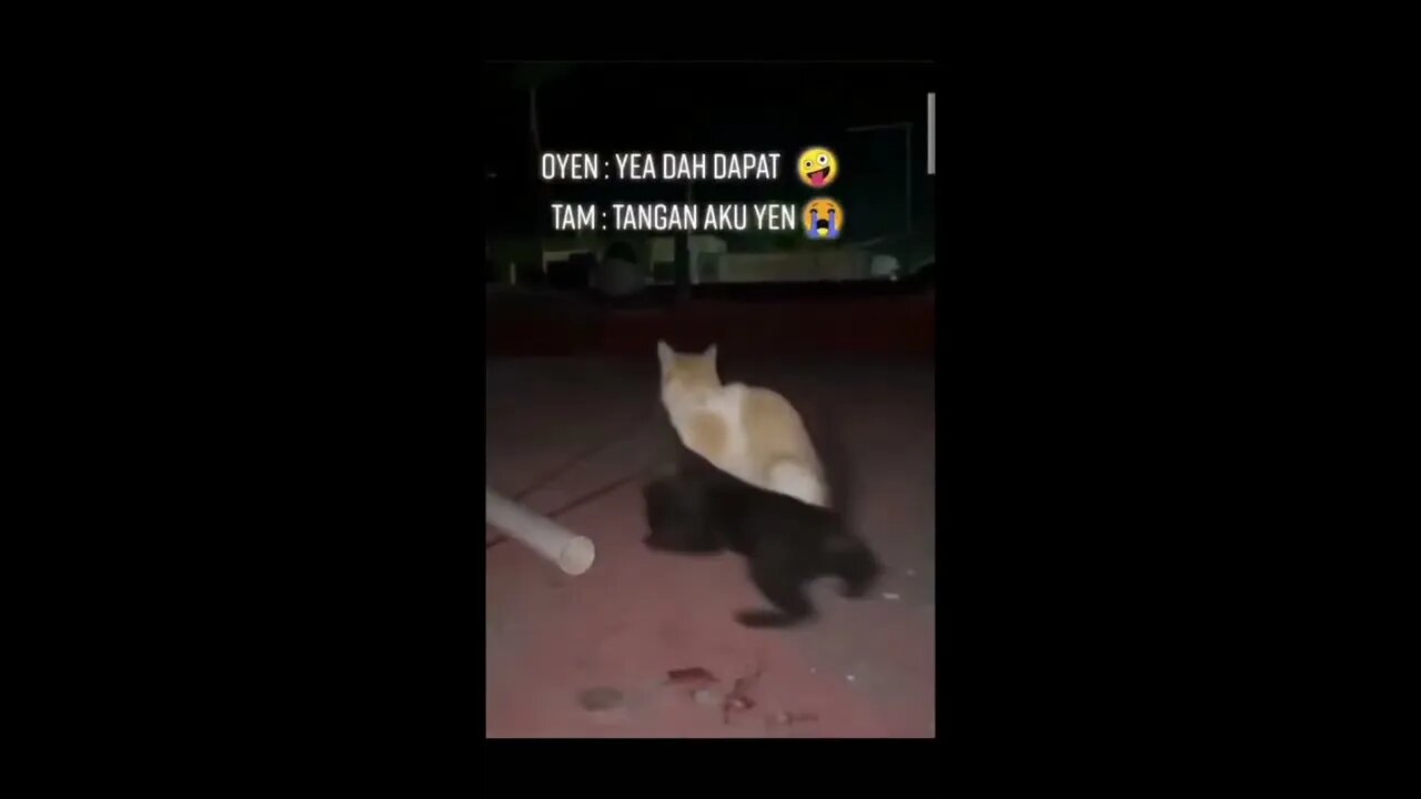 It's Mine