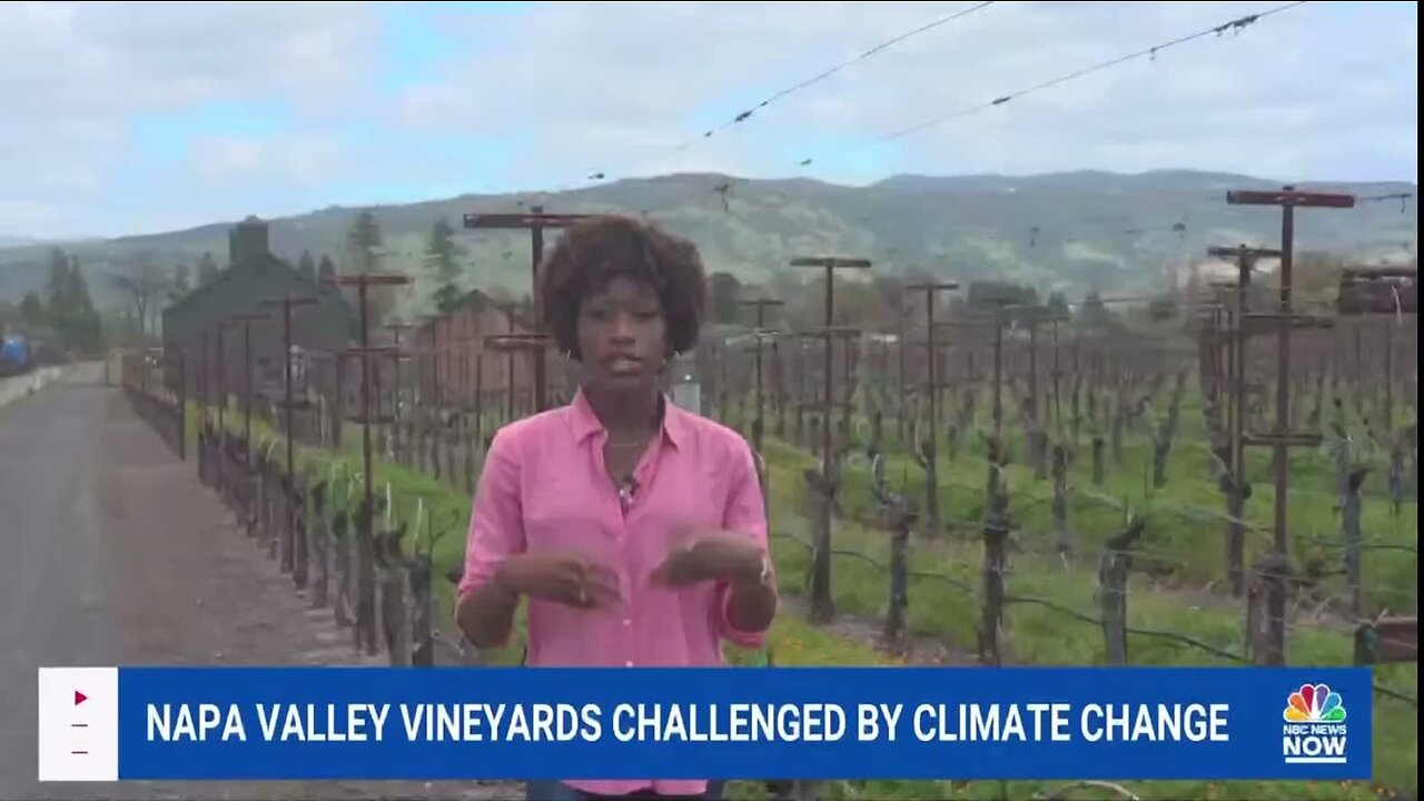 Video upload for 110215970843481677