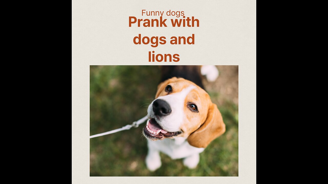🤣🤣 Prank with fake dog and lion~FUNNIEST