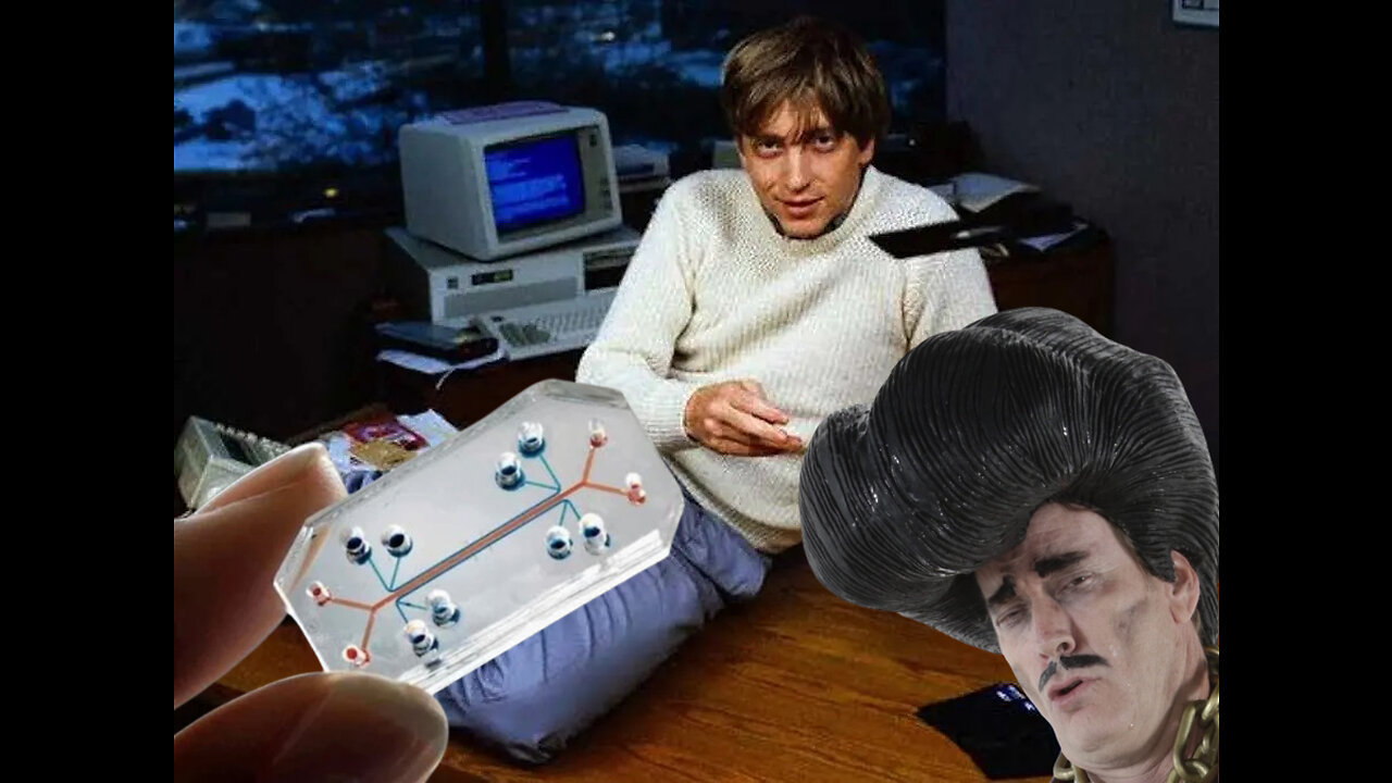 Bill Gates introduces the Vagina on a Chip