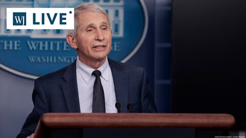 Fauci Is Using Your Money to Fund the Study of Transgender Monkeys