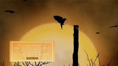 Preparation, Provision and Pain - Elijah Part 2 - Jacob Prasch