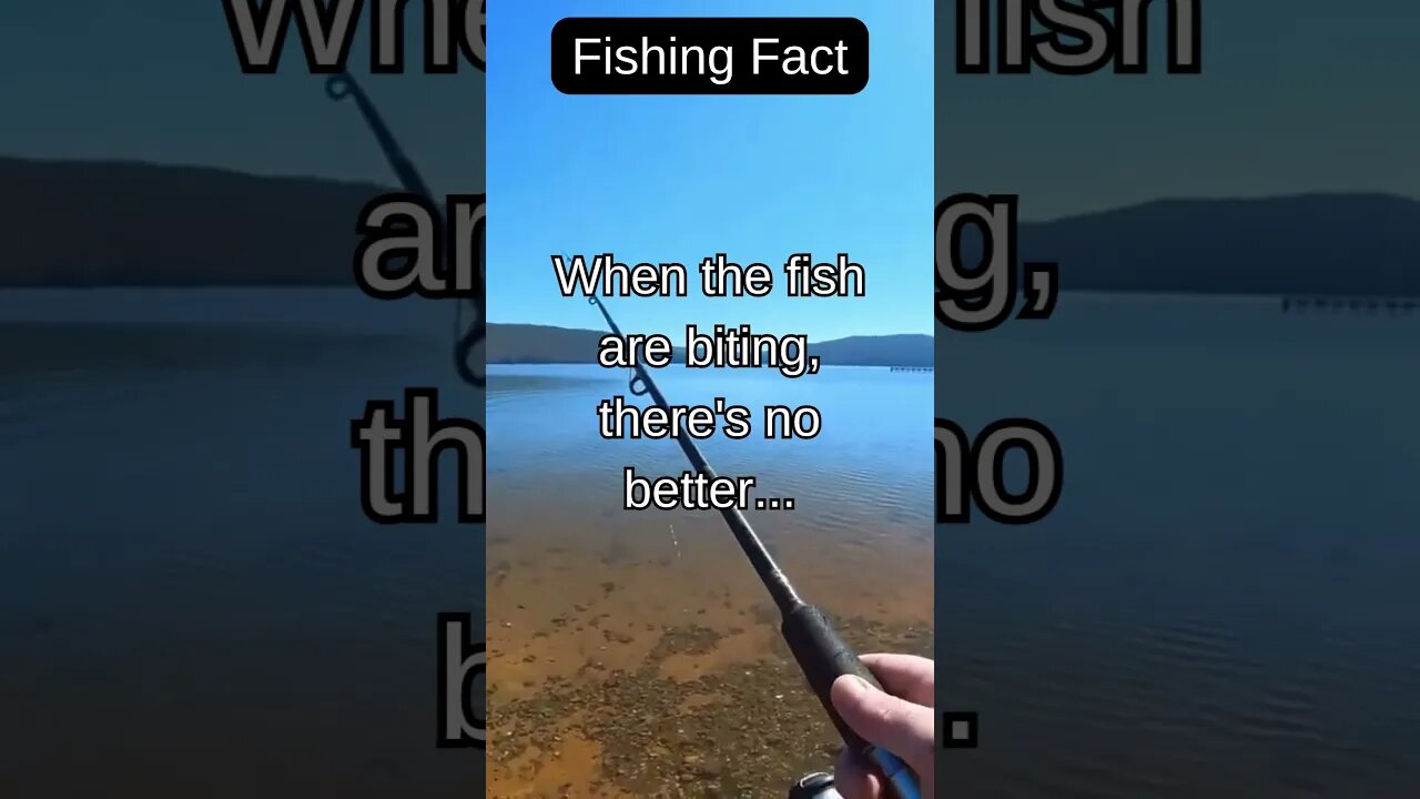 Fishing Facts #shorts #fishing #fishingfanatics