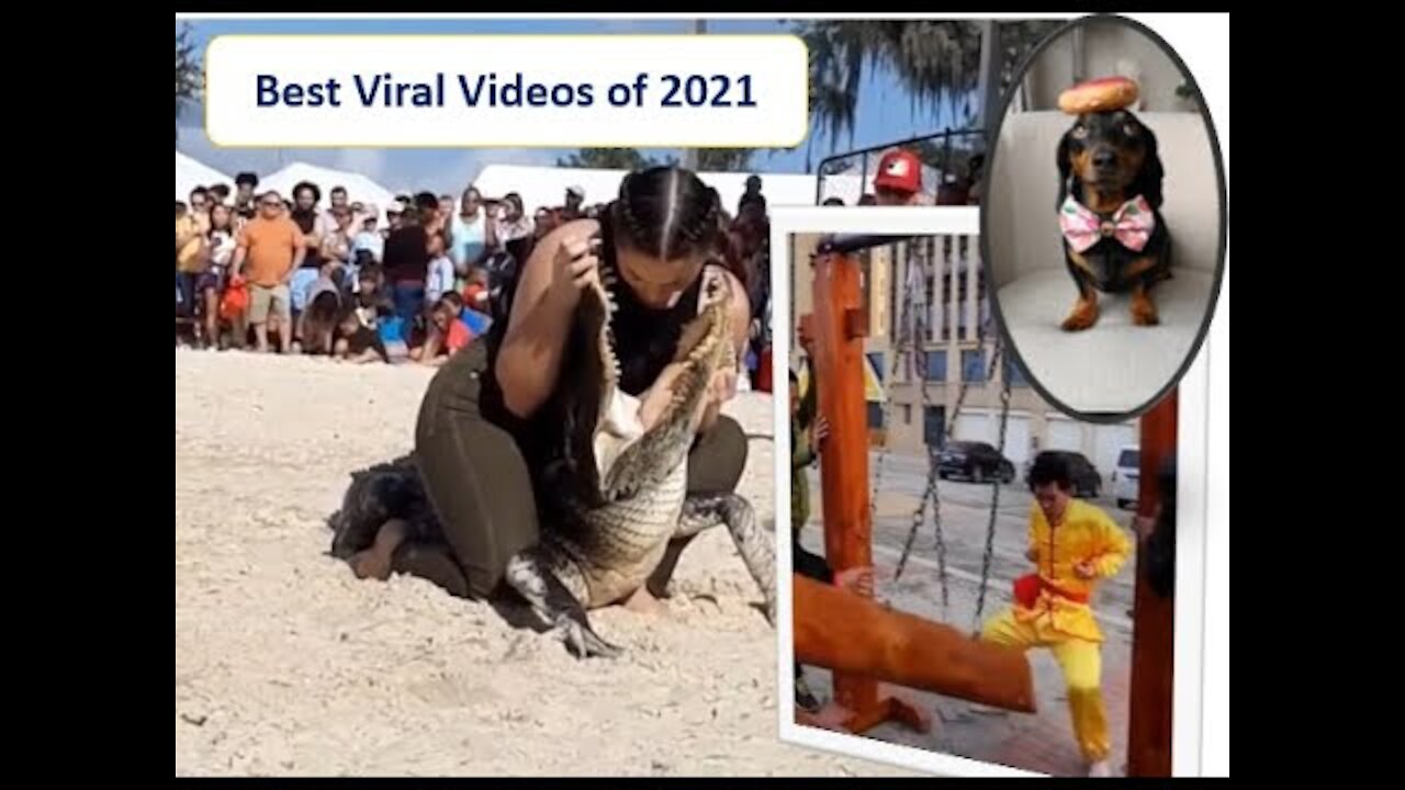 Top Viral Videos in 2021