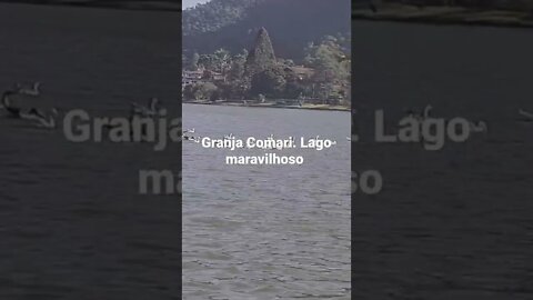 Lago da Granja Combati. Casa da Seleção Brasileira. #short