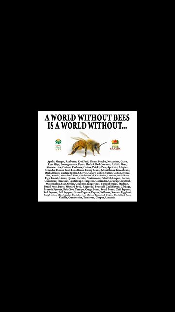 A World without Bees