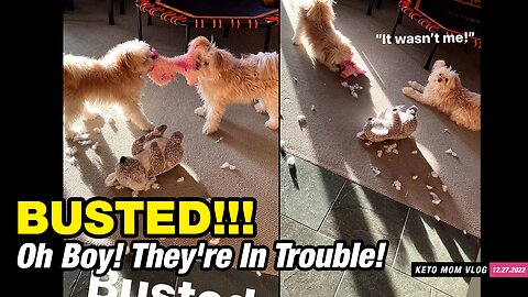 Busted! Looks Like They're In Trouble! | KetoMOm Vlog