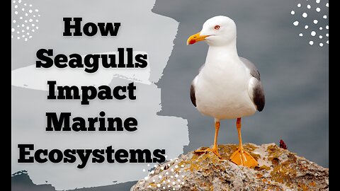 How Seagulls Adapt to Coastal Environments