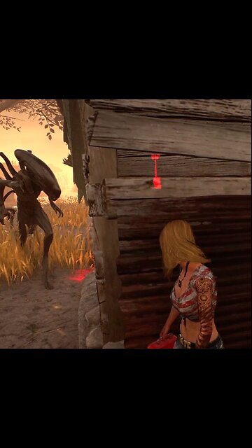 That's something you don't see everyday