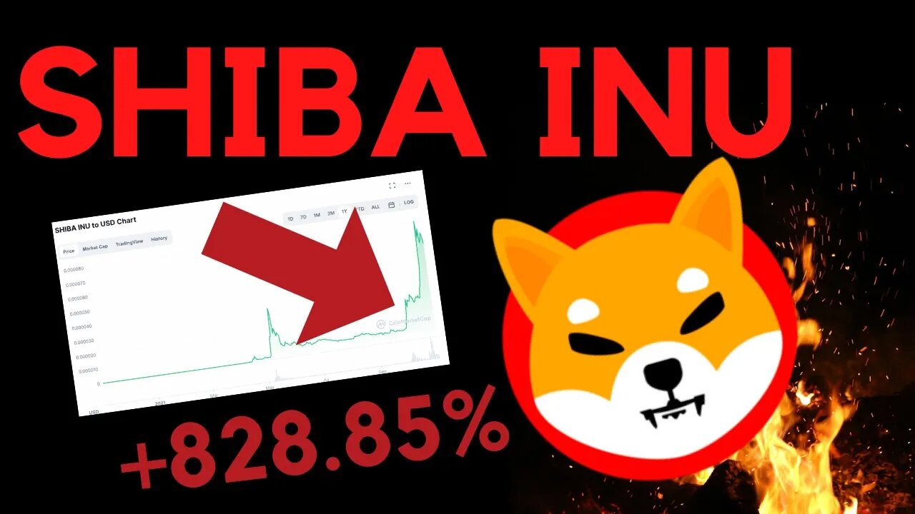 🚨 SHIBA INU ¿SCAM O GEMA? | ANÁLISIS de la CRIPTOMONEDA | SHIBA VS DOGECOIN en ESPAÑOL 2021 🐕