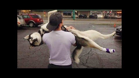 WORLD BEST FUNNIEST🤣 Animal vs dog vs men 🤣 funny video> Don't Try Laughing 🤣 clips