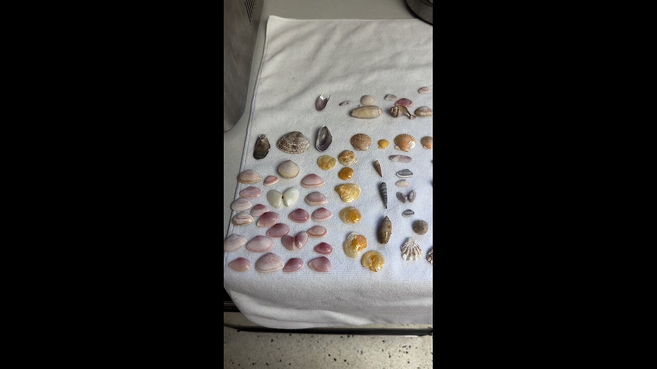 Beach Finds | 5/15/24-5/18/24 | 4K